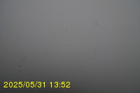 Img20250531_135235.jpg