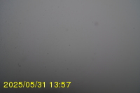 Img20250531_135735.jpg