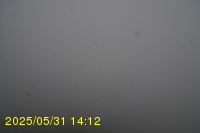 Img20250531_141235.jpg