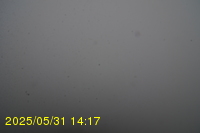 Img20250531_141735.jpg