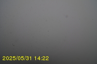 Img20250531_142235.jpg