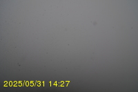 Img20250531_142735.jpg