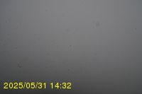 Img20250531_143235.jpg