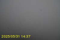 Img20250531_143735.jpg