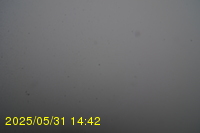 Img20250531_144235.jpg