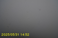 Img20250531_145235.jpg