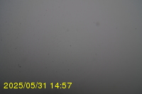 Img20250531_145735.jpg