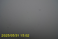 Img20250531_150235.jpg