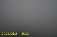Img20250531_152235.jpg