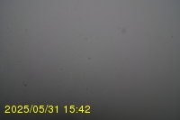 Img20250531_154235.jpg