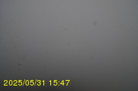 Img20250531_154735.jpg