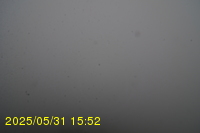 Img20250531_155235.jpg