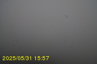Img20250531_155735.jpg
