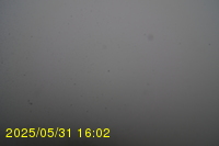 Img20250531_160235.jpg