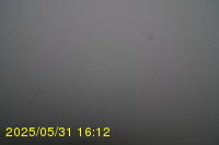 Img20250531_161235.jpg