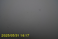 Img20250531_161735.jpg