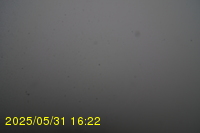 Img20250531_162235.jpg