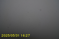 Img20250531_162735.jpg