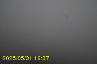 Img20250531_163735.jpg