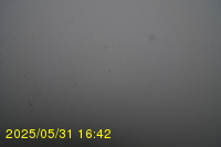 Img20250531_164235.jpg