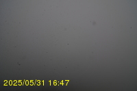 Img20250531_164735.jpg