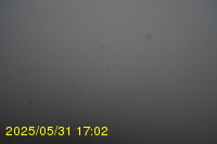Img20250531_170236.jpg