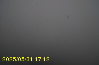 Img20250531_171235.jpg
