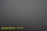 Img20250531_171736.jpg