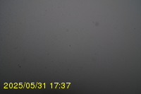 Img20250531_173736.jpg