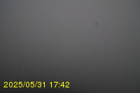 Img20250531_174236.jpg