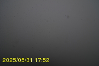 Img20250531_175236.jpg