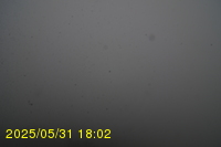 Img20250531_180236.jpg