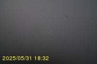 Img20250531_183236.jpg