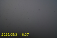 Img20250531_183736.jpg