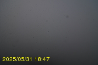 Img20250531_184736.jpg