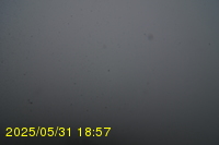 Img20250531_185736.jpg