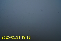 Img20250531_191236.jpg