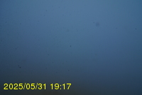 Img20250531_191736.jpg
