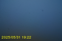 Img20250531_192236.jpg