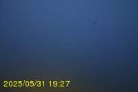 Img20250531_192736.jpg