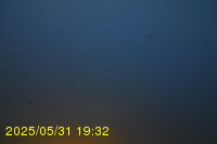 Img20250531_193236.jpg