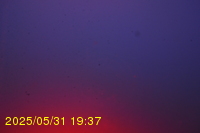 Img20250531_193736.jpg