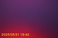 Img20250531_194236.jpg