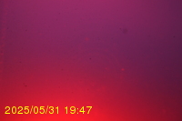 Img20250531_194736.jpg
