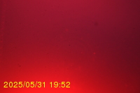Img20250531_195236.jpg