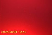 Img20250531_195736.jpg