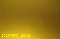 Img20250531_200236.jpg
