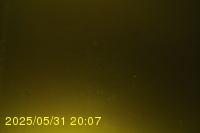 Img20250531_200736.jpg