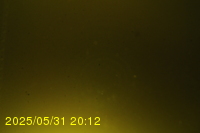 Img20250531_201236.jpg