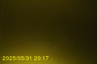 Img20250531_201736.jpg